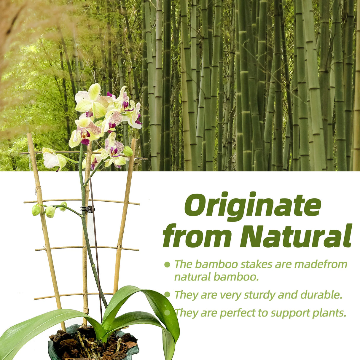 10 Pack Bamboo Trellis For Climbing Plants, 16 Inch Natural Garden Fan-shaped Plant Support Bracket, Suitable For Potted Plant D