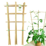 10 Pack Bamboo Trellis For Climbing Plants, 16 Inch Natural Garden Fan-shaped Plant Support Bracket, Suitable For Potted Plant D