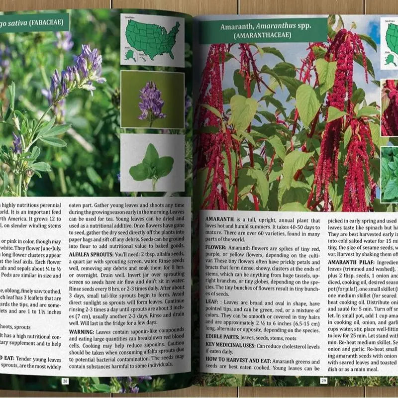 The Forager's Guide to Wild Foods | High-Quality lmages &Maps for Plant ldentification | Guidelines, Recipes, Full PagePhotos, M