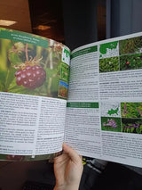 The Forager's Guide to Wild Foods | High-Quality lmages &Maps for Plant ldentification | Guidelines, Recipes, Full PagePhotos, M