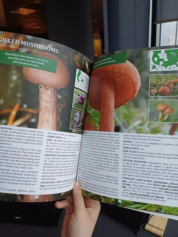 The Forager's Guide to Wild Foods | High-Quality lmages &Maps for Plant ldentification | Guidelines, Recipes, Full PagePhotos, M