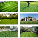 3FT X 33FT (99 Square FT) Artificial Grass Deluxe Synthetic Thick Lawn Pet Turf for Garden Backyard Patio Balcony Indoor/Outdoor